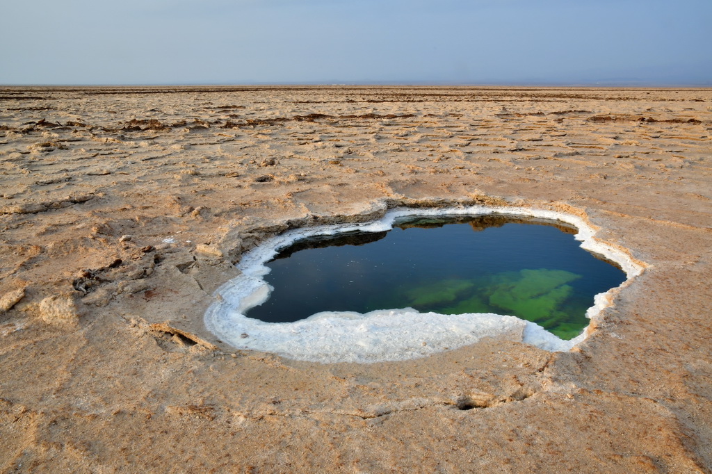 Lake Assale, Danakil Depr.